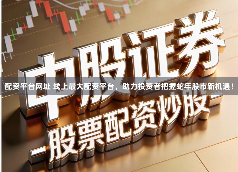 配资平台网址 线上最大配资平台，助力投资者把握蛇年股市新机遇！