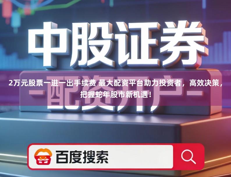 2万元股票一进一出手续费 最大配资平台助力投资者，高效决策，把握蛇年股市新机遇！