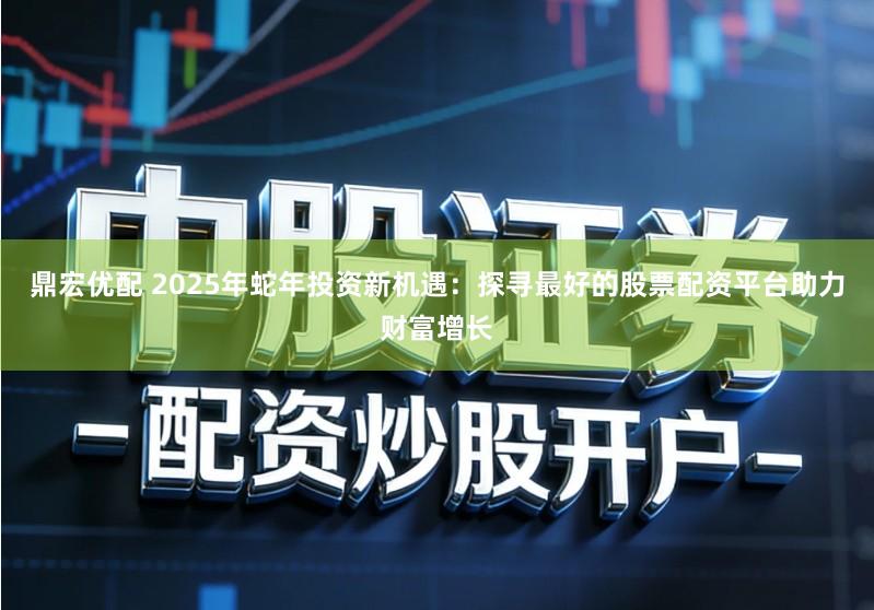 鼎宏优配 2025年蛇年投资新机遇：探寻最好的股票配资平台助力财富增长