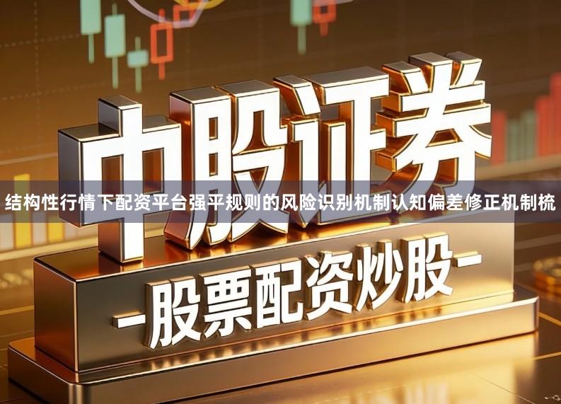 结构性行情下配资平台强平规则的风险识别机制认知偏差修正机制梳