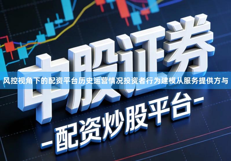 风控视角下的配资平台历史运营情况投资者行为建模从服务提供方与