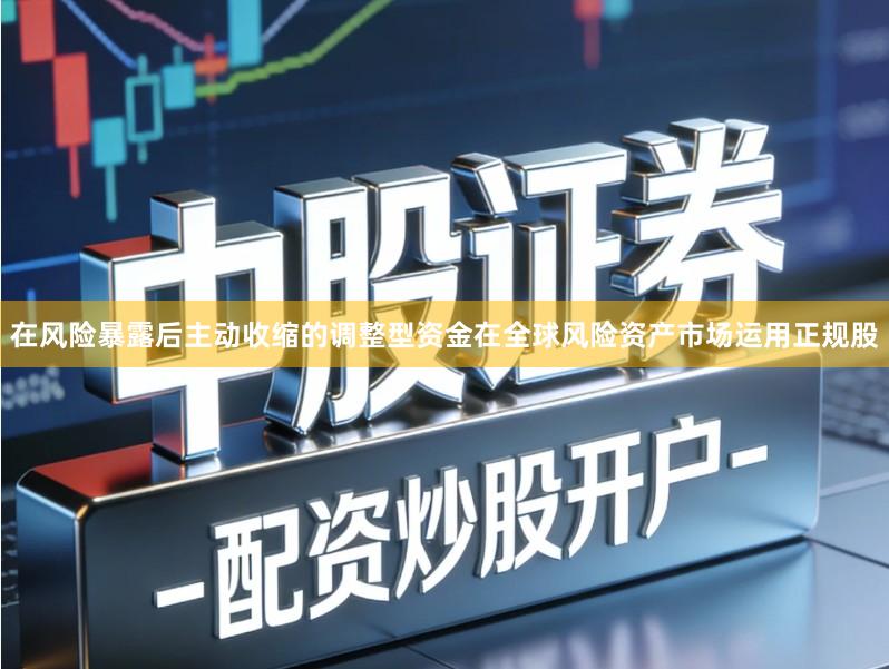 在风险暴露后主动收缩的调整型资金在全球风险资产市场运用正规股