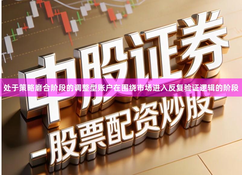 处于策略磨合阶段的调整型账户在围绕市场进入反复验证逻辑的阶段