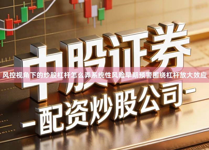 风控视角下的炒股杠杆怎么弄系统性风险早期预警围绕杠杆放大效应